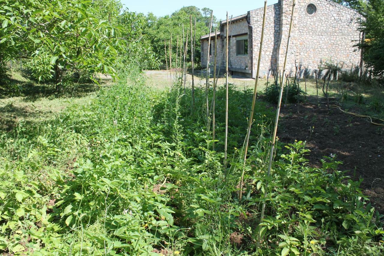 Pili Country House Ngoại thất bức ảnh